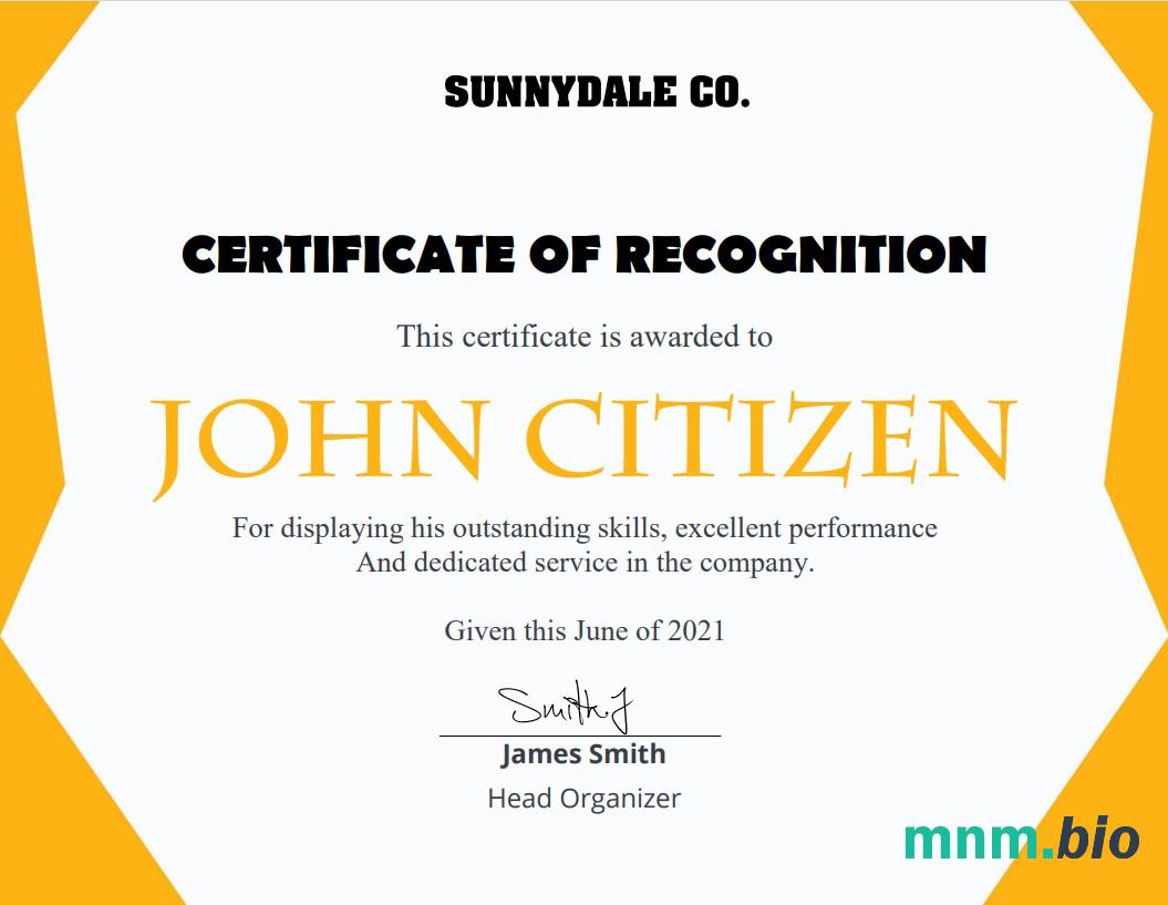 USA Recognition Certificate